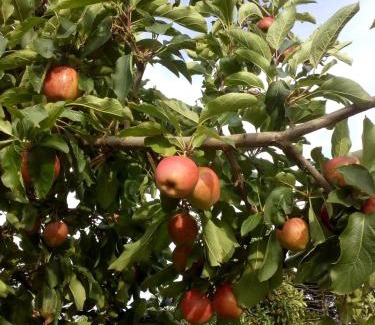 Bom Jardim da Serra House | Fazenda Invernada Grande Turismo Rural