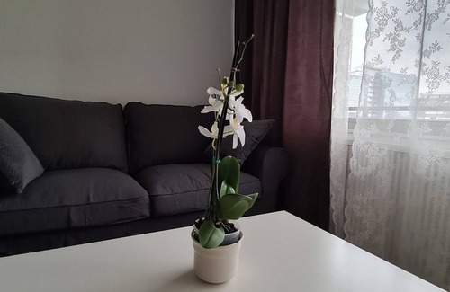 Hammfeld House | Features of Good And Night