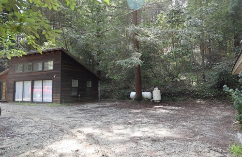 Felton Cabin | Felton Sky Loft in the Forrest Lakes Community