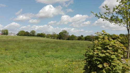 Husbyholz Apartment | Ferienappartement Seegaard