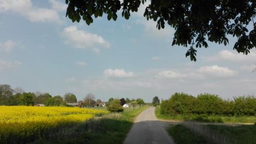 Husbyholz Apartment | Ferienappartement Seegaard