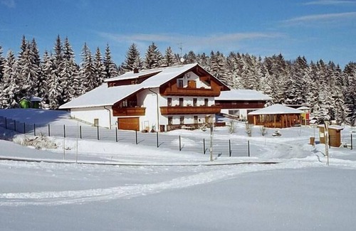Neureichenau Apartment | Feriendomizil mit Balkon inmitten des Bay. Waldes