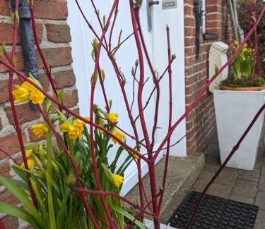 Bordelum House | Ferienhaus Addebüll