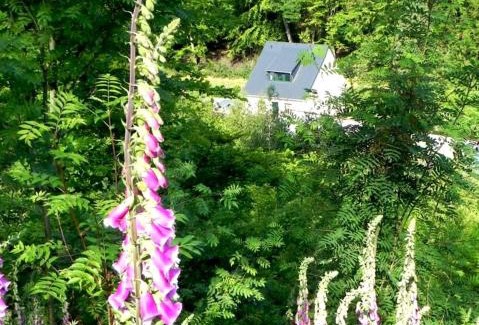 Stolpen House | Ferienhaus Buschmuehle - Stolpen