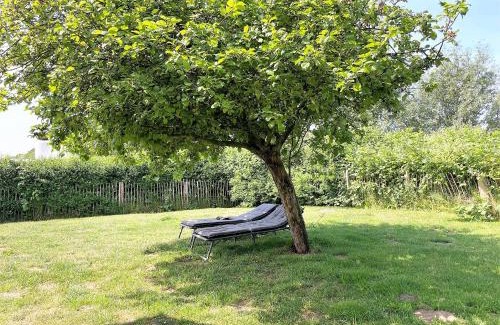 Rodenas House | Ferienhaus Dat groote Diekhuus Rodenäs