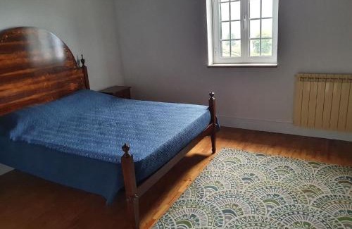 Oliveira de Frades House | Ferienhaus für 20 Personen in Ribeiradio, Regio Centro Beira