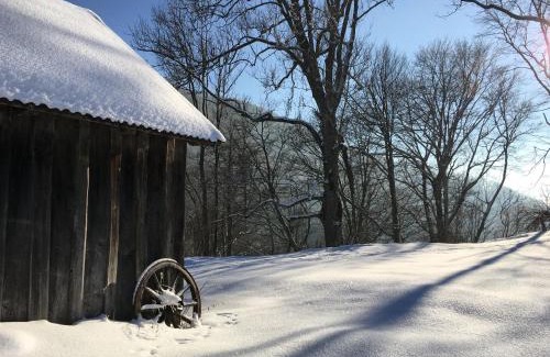 Rabenstein an der Pielach House | Ferienhaus Hochbrand