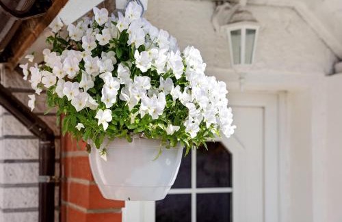 Bergen auf Ruegen House | Ferienhaus Pahnke