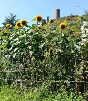 Monreal Apartment | Ferienwohnung Am Elzbach