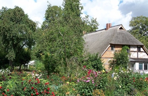 Velgast Apartment | Ferienwohnung/app. für 4 Gäste mit 42m² in Starkow