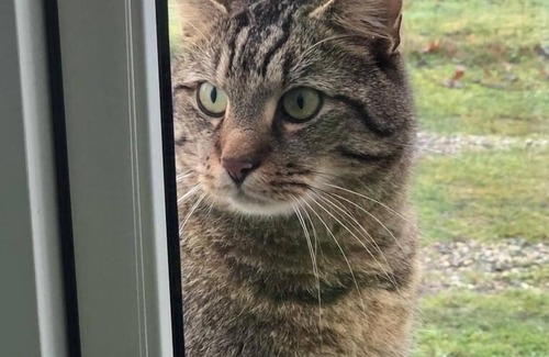 Suederholz Apartment | Ferienwohnung/app. für 4 Gäste mit 40m² in Süderholz