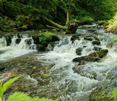 Kaisersesch Apartment | Ferienwohnung bei Burg Eltz