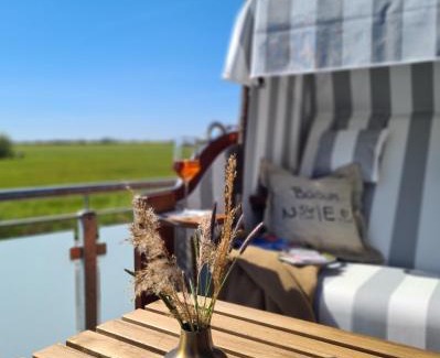 Westerdeichstrich Apartment | Ferienwohnung Deichwiesen