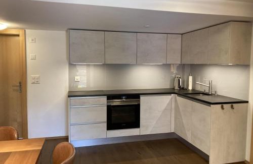 Ried-Brig Apartment | Ferienwohnung Dorfbrunnu