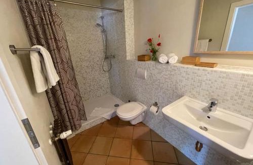 Saal Apartment | Ferienwohnung EINS Hof Himmelgrün