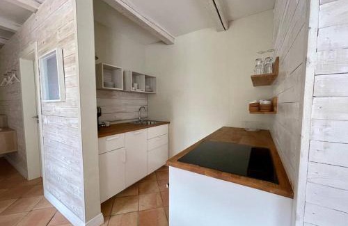 Saal Apartment | Ferienwohnung EINS Hof Himmelgrün