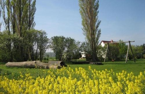 Ummanz Apartment | Ferienwohnung Gans In Ummanz Lüßvitz