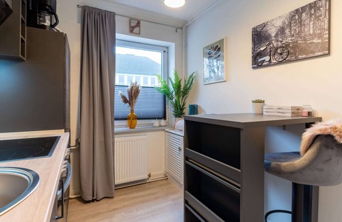 Toenning Apartment | Ferienwohnung in Tönning