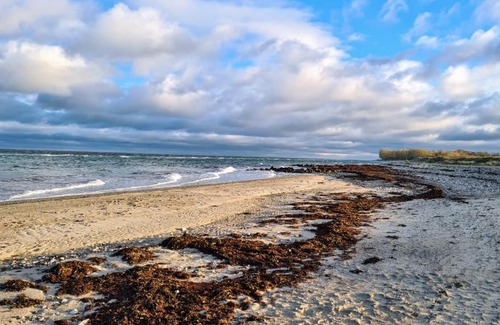 Maasholm-Bad Apartment | Ferienwohnung Kiekut 1