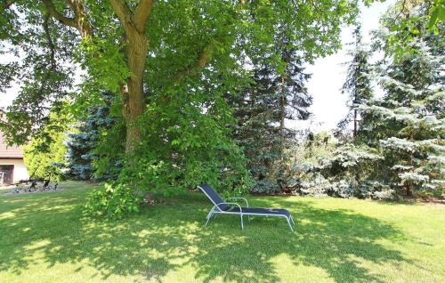 Meesiger Apartment | Ferienwohnung Meesiger