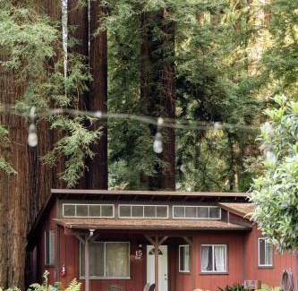 Felton Resort | Fern River Resort