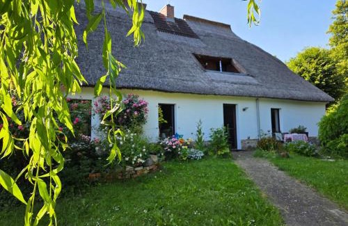 Hohen Demzin Apartment | FeWo am Skulpturenweg