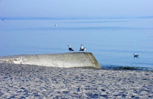 Timmendorfer Strand Apartment | FeWo Machedanz zentrumsnah & ruhig Timmendorfer Strand