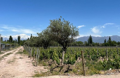 Lujan de Cuyo Cabin | Finca 4 elementos