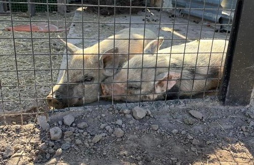 Lujan de Cuyo Cabin | Finca 4 elementos