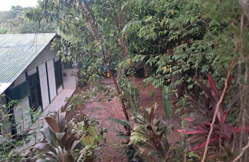 Palma Apartment | Finca Bosques de Osa