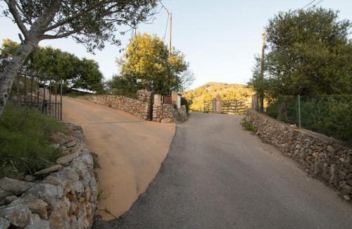 Felanitx Villa | Finca Can Roig