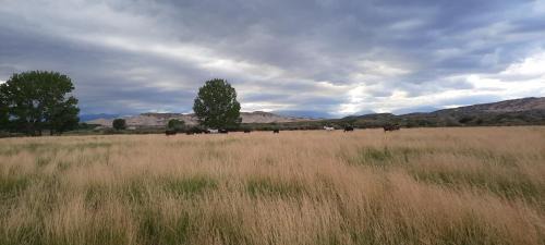 Bella Vista House | Finca Dos Lagos