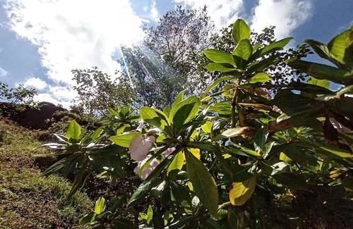 San Isidro House | Finca el Calar El mejor lugar para buscar paz