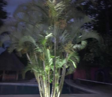 Atlixco Villa | Finca El Quijote con alberca y 6 cuartos