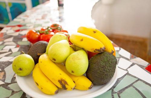 Aguimes Villa | Finca Fani 4