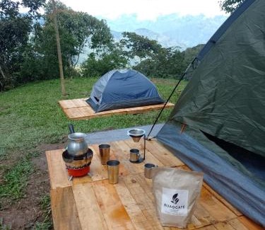 Coffee Triangle Other | Finca La Palma