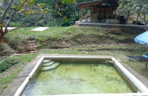 Coffee Triangle Other | Finca La Palma