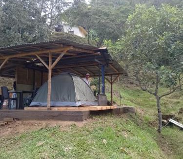 Coffee Triangle Other | Finca La Palma