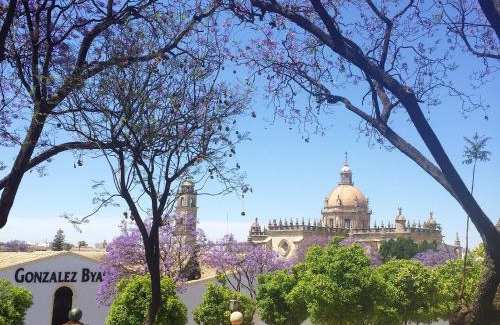 San Ambrosio Villa | Finca la Vina