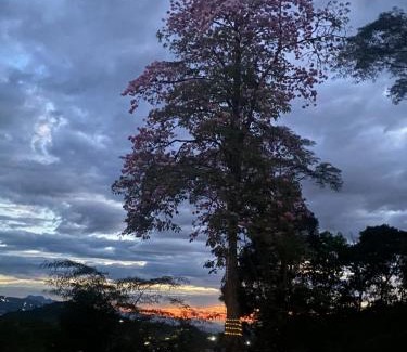 La Mesa House | Finca mi Fortuna