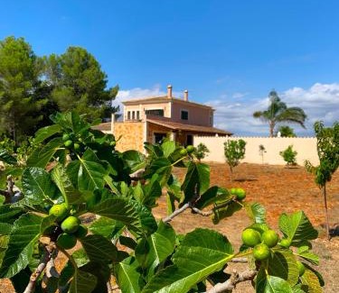 Algaida House | Finca Son Amal