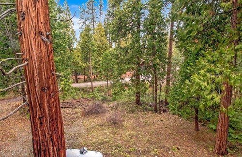 Mariposa Cabin | Find Your Zen | Rustic-Chic Cabin