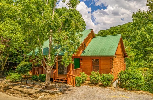 Sevierville Ski Chalet | Firefly Hollow Cabin - Smoky Mountains - Soaky Mountain Water Park - Sevierville Convention Center