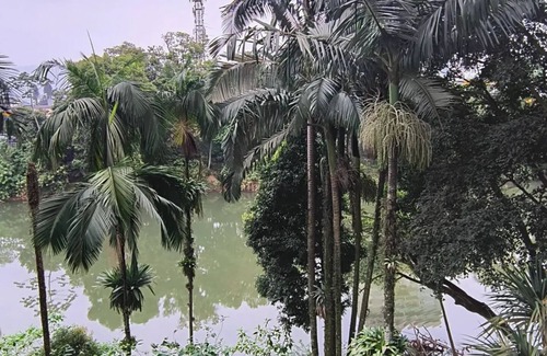 Czerniewicz Apartment | Flat 107 downtown - Jaraguá do Sul