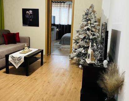 Reghin Apartment | Flamingo House