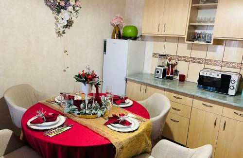 Reghin Apartment | Flamingo House