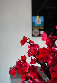 Pujaire Apartment | Flamingos view apartment in Cabo de Gata