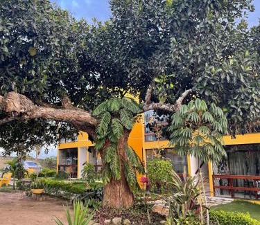 Bezerros Apartment | flat 013 - Serra Negra - Bezerros - PE