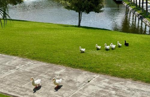 Boa Vista Apartment | Flat 601 Condominio Villa Hípica - Gravatá, PE