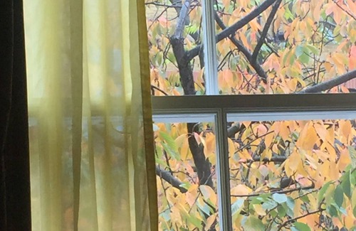 Middenmeer Apartment | Flat in Amsterdam- Oost close to Oosterpark.